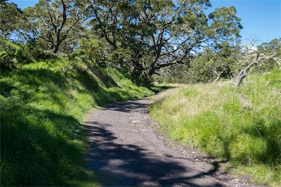 Keanakolu Rd 02.jpg