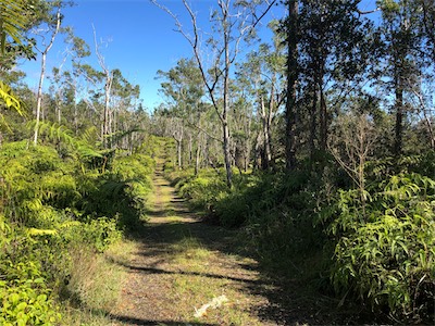 Narnia mauka where they sat.jpg