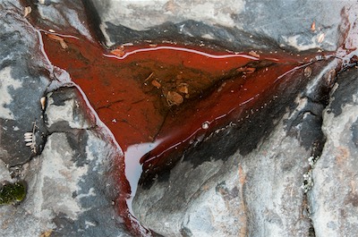 red algae pool mauna kea.jpg